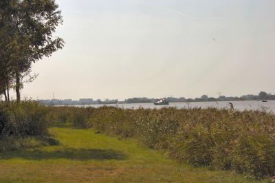 Wide view.