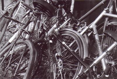 Scan1007.jpg