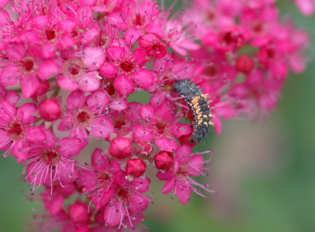 DSC_1544.jpg