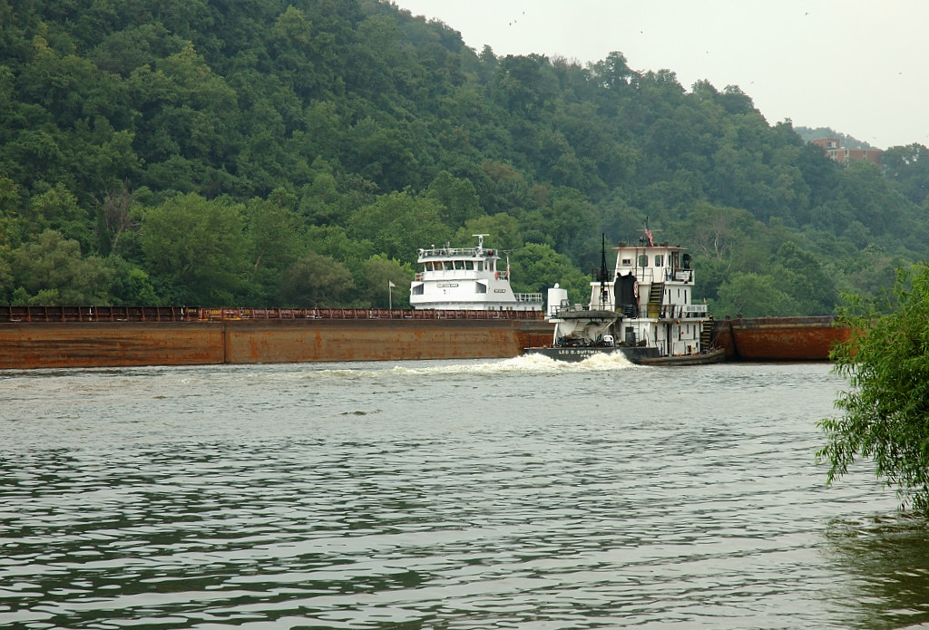 DSC_2534.jpg