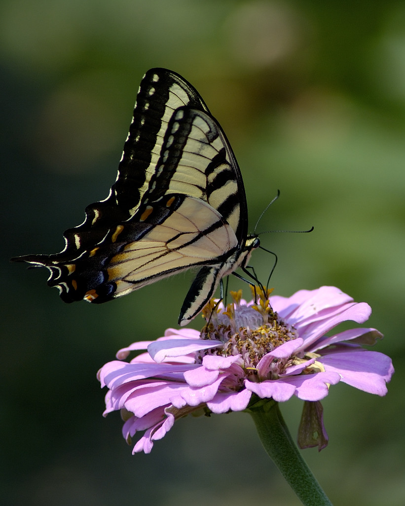 DSC_3092.jpg