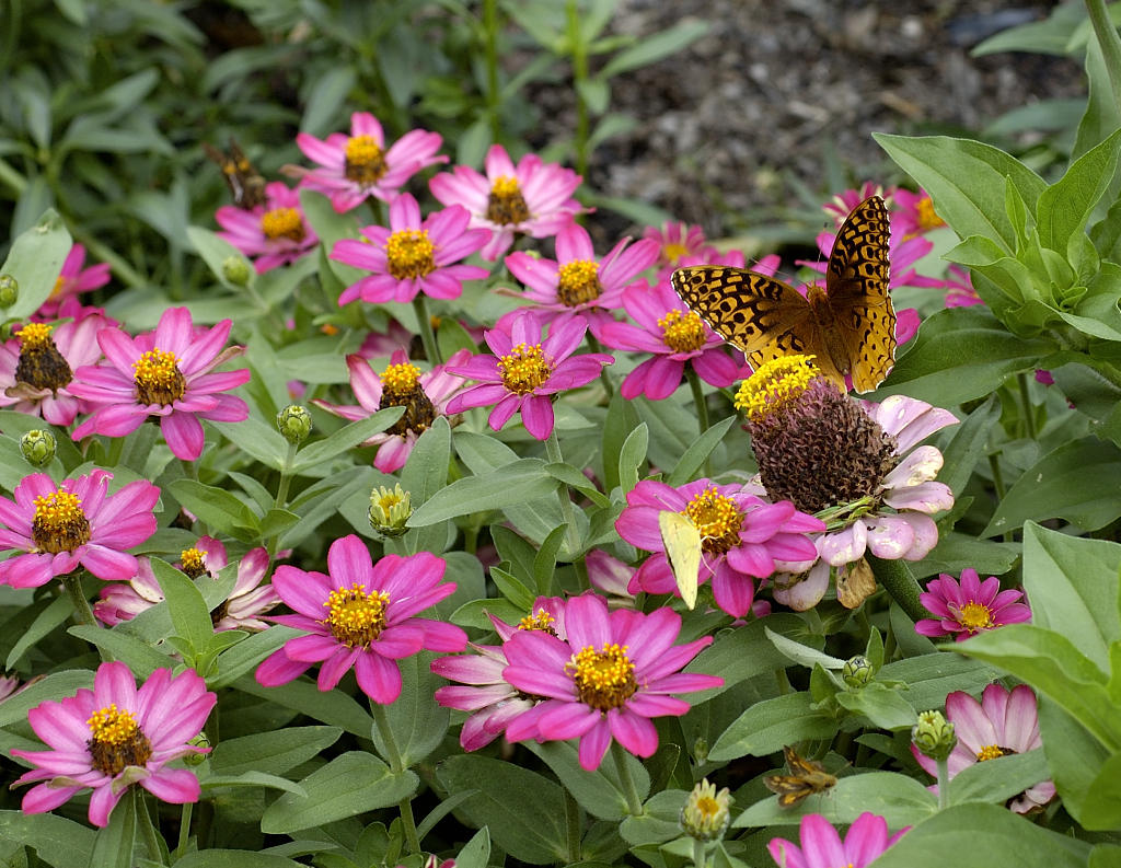 DSC_3486.jpg