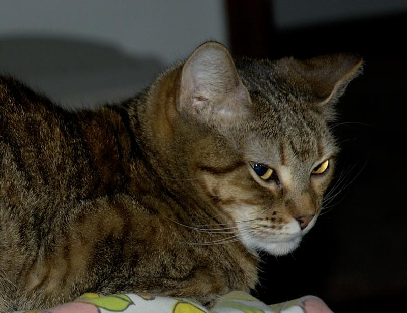 Lucy