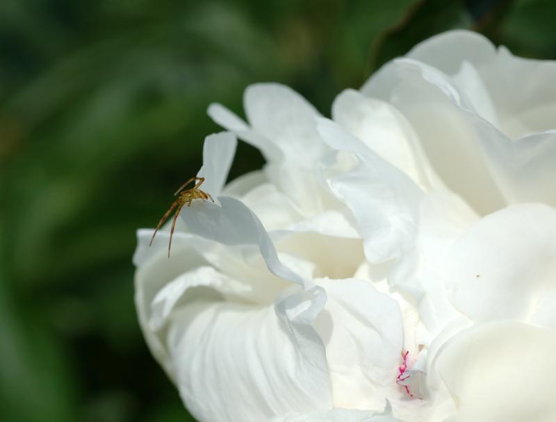 DSC_1208.jpg