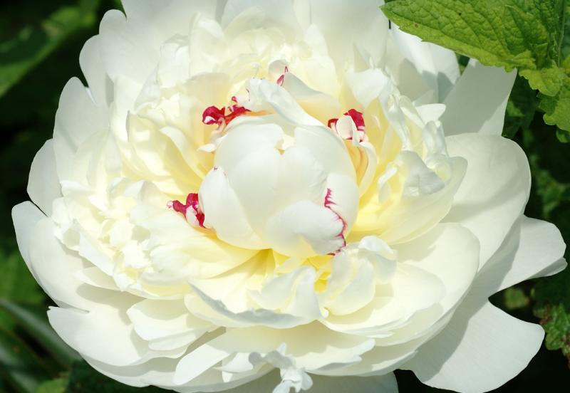 DSC_1201.jpg