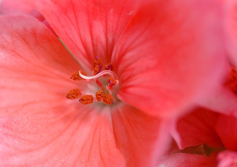 DSC_1585.jpg