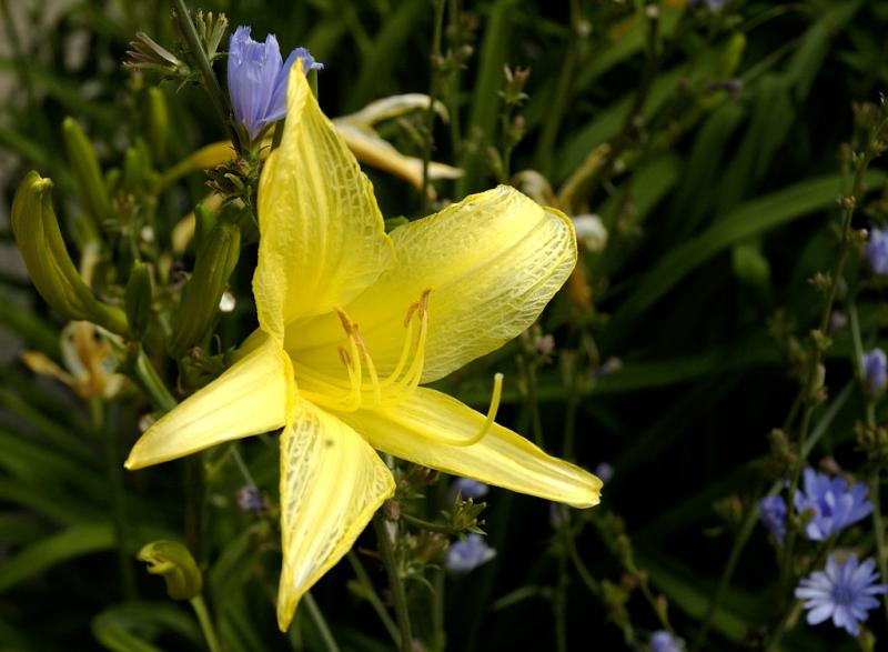 DSC_2296.jpg