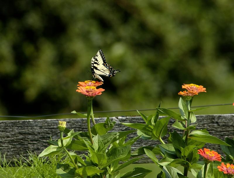 DSC_3057.jpg
