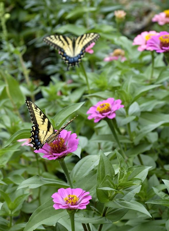 DSC_3497.jpg