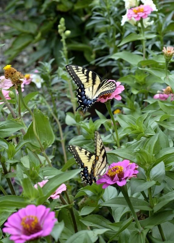 DSC_3499.jpg