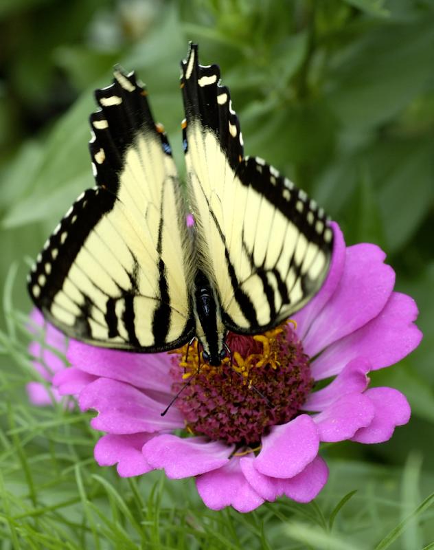 DSC_3535.jpg