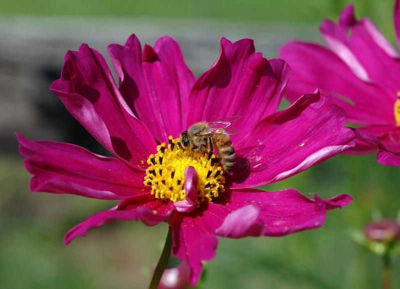 DSC_4800.jpg