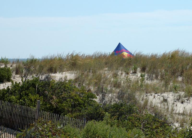 DSC_4137.jpg
