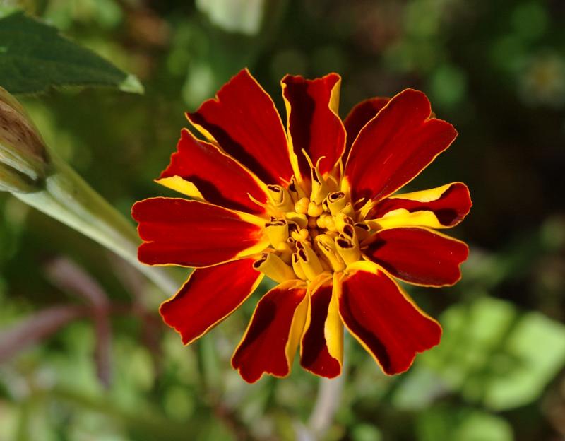 DSC_4994.jpg