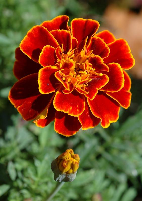 DSC_5013.jpg