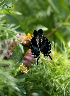 DSC_3163.jpg