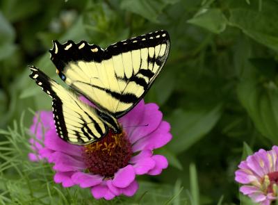 DSC_3538.jpg