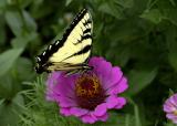 DSC_3533.jpg
