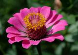 DSC_3818.jpg