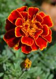 DSC_5013.jpg