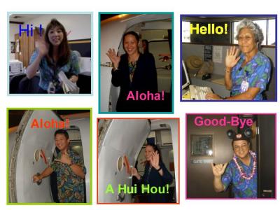 v3/86/67186/3/48814503.AlohaByeBye.jpg