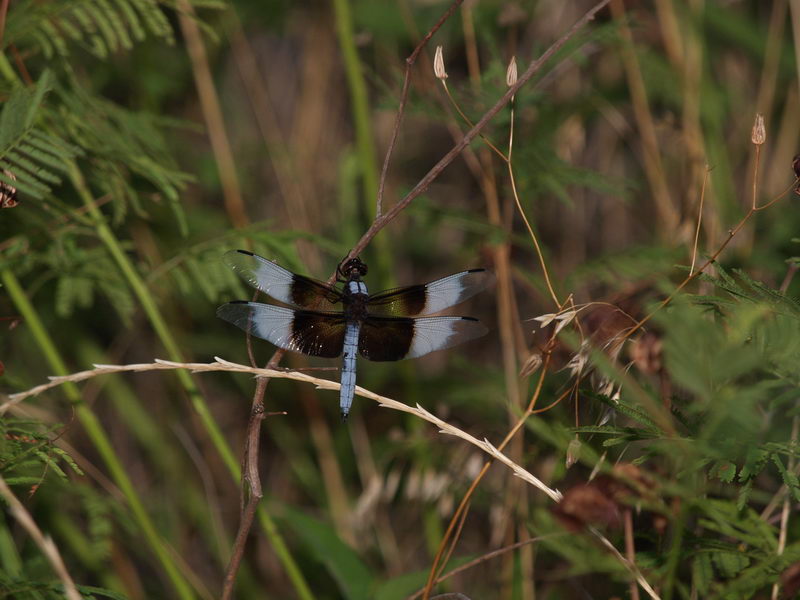 P7106762.JPG