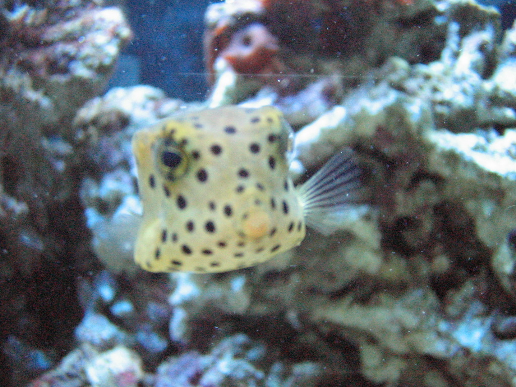 IMG_0001.JPG