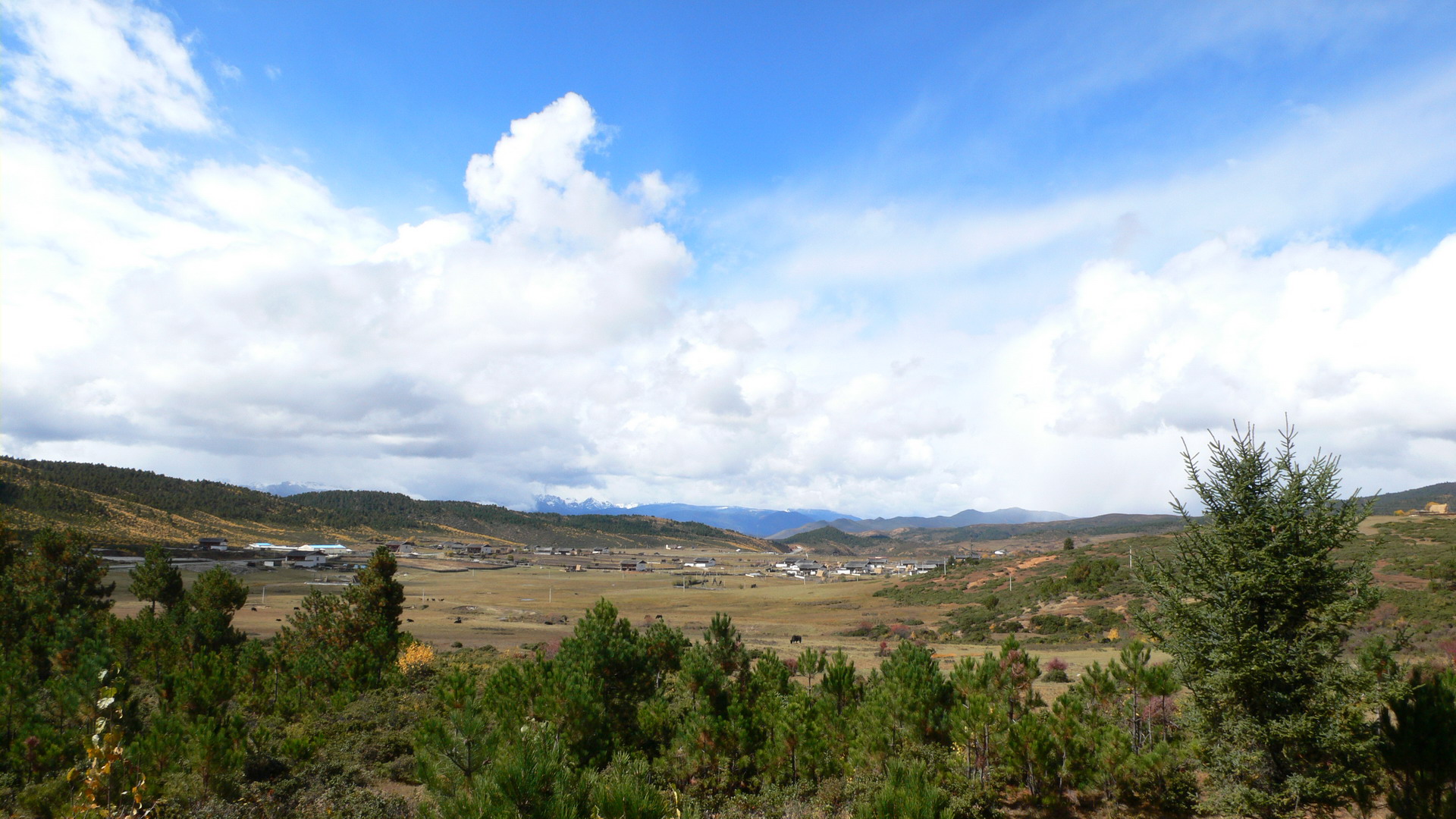 ǩ~10_resize.JPG