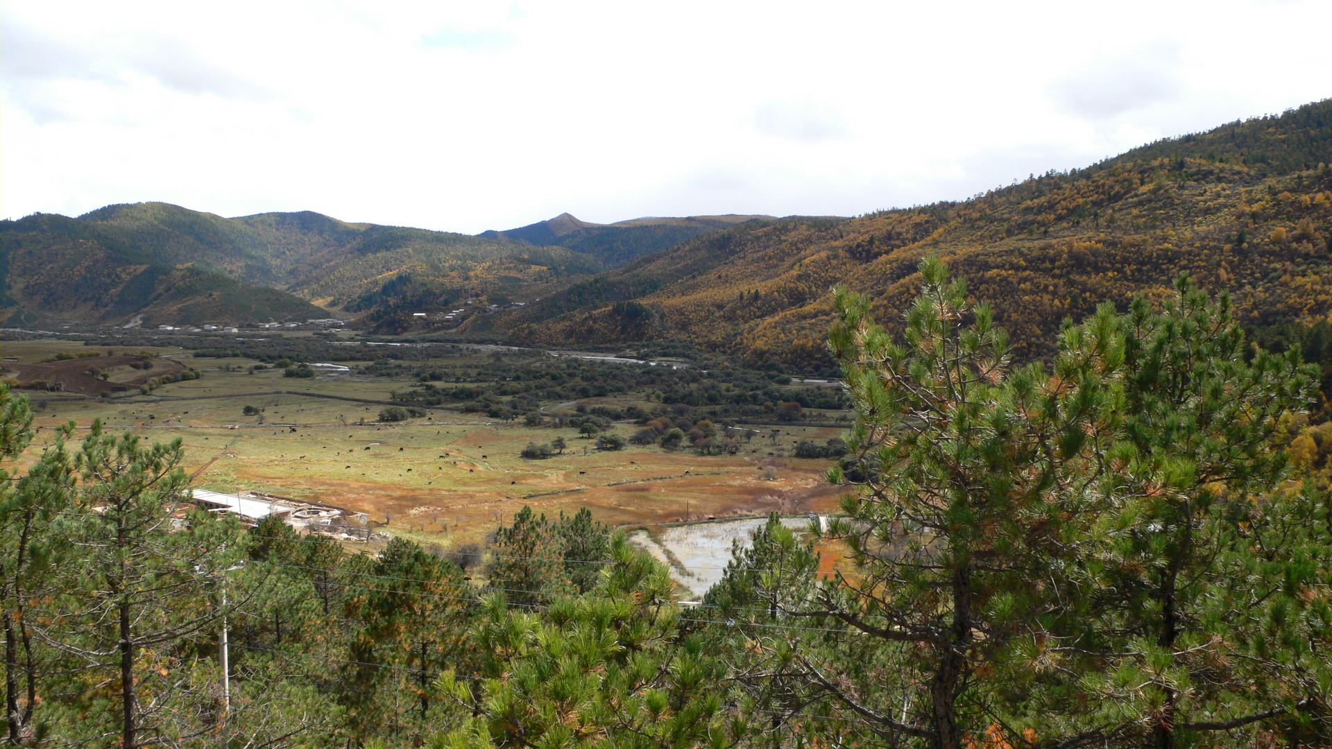 ǩ~3_resize.JPG