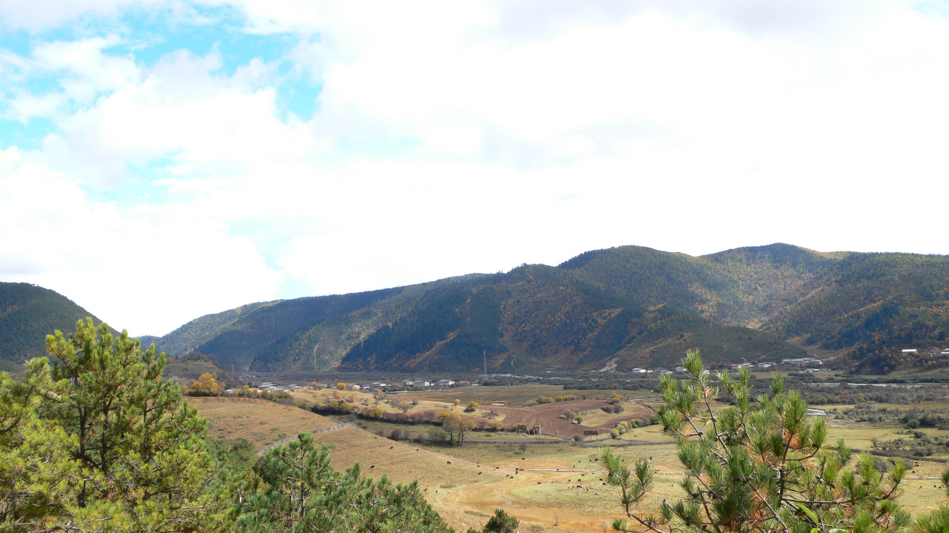 ǩ~4_resize.JPG