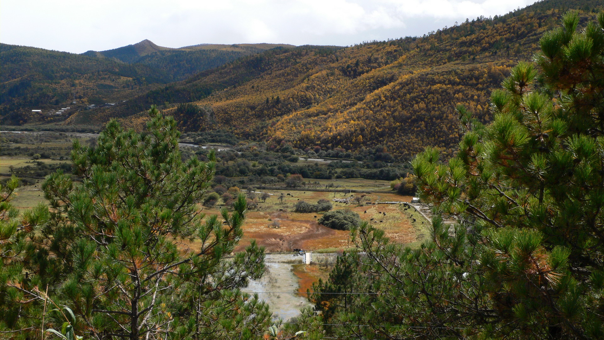 ǩ~7_resize.JPG