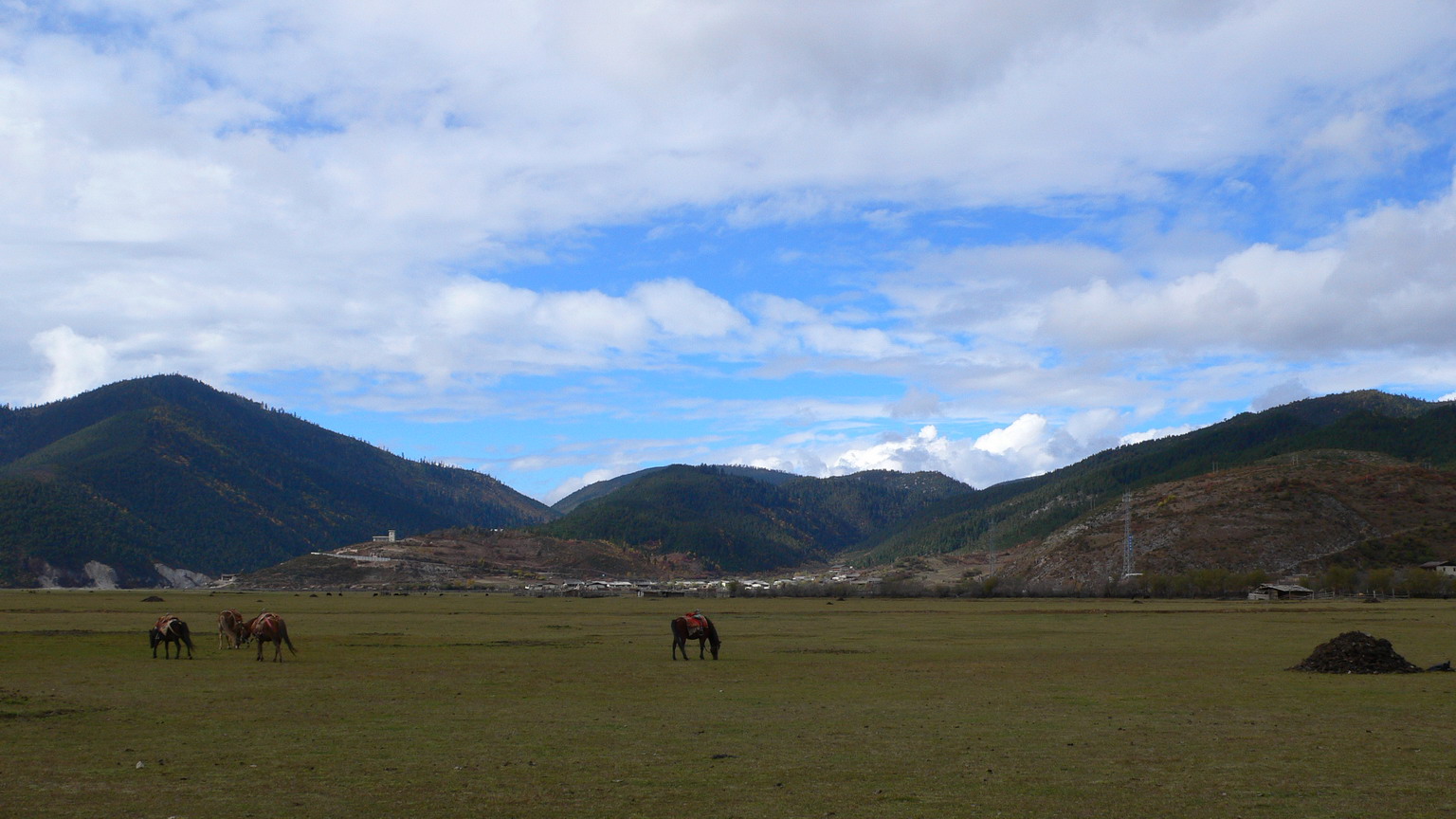 ǩ8_resize.JPG