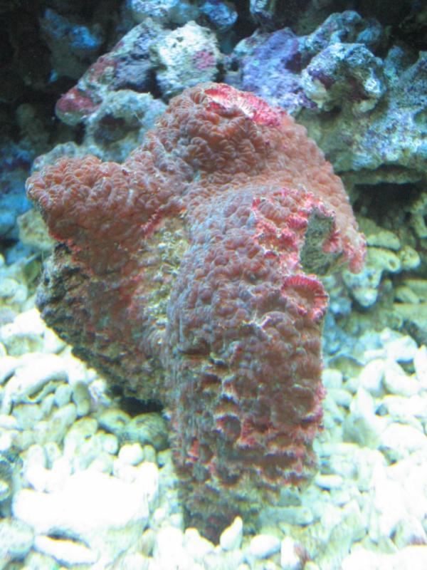 IMG_0003.JPG