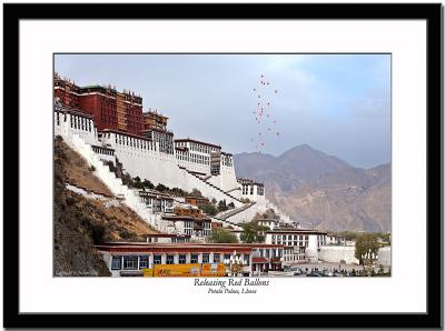 Releasing red ballons in front of Potala Palace