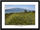 Pelopennese and Gulf of Patrai - A View from Mainland Greece