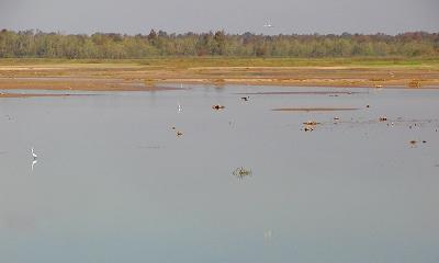 10 27 05 Wetlands, olyuz.jpg