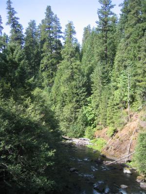 Middle Fork of the Willamette River