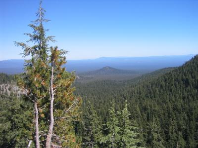 Oregon - trees and mountains as far as the eye can see.