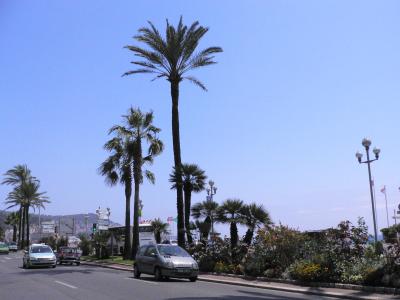 v3/87/247387/3/49763813.NiceandCannesP1010020.jpg
