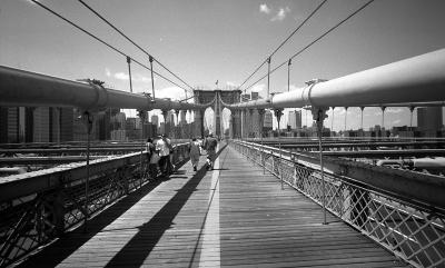 Brooklyn Bridge, Landscape
