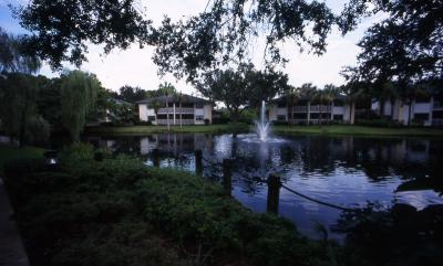 Little fountain and pond