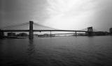 Brooklyn Bridge, Brooklyn Panorama