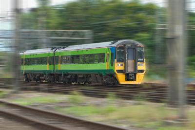 CRW_2033.jpg