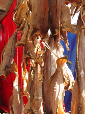 Dried fish