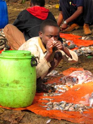 Filletting fish Child Labor