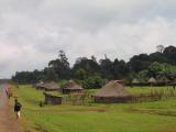 Near Dila