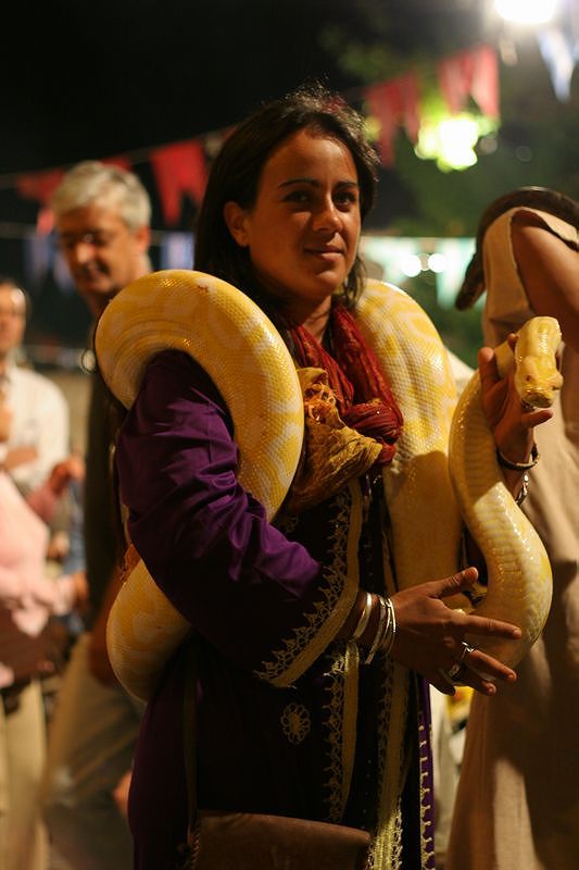 Snake necklace