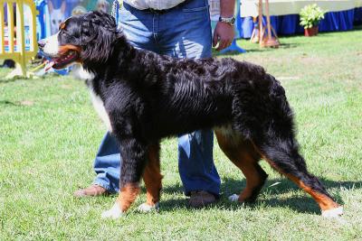 10 Month Old - Expo in Sintra, Portugal