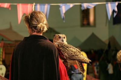 Owl keeper
