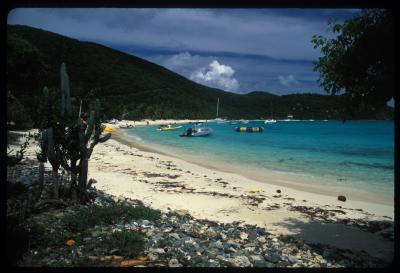 v3/87/425687/3/48377083.bvi4.jpg